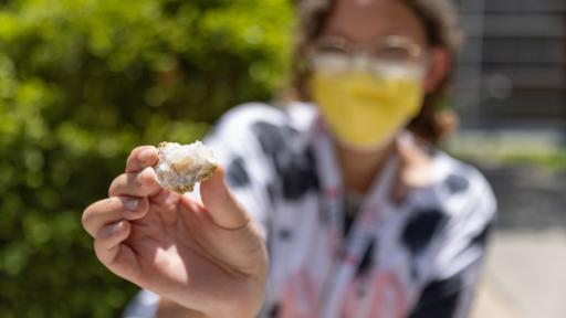 Upward Bound high school students cracked opened geodes to discover what crystal formations were hidden inside.