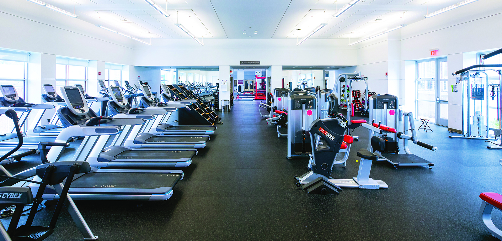 Treadmills in gym