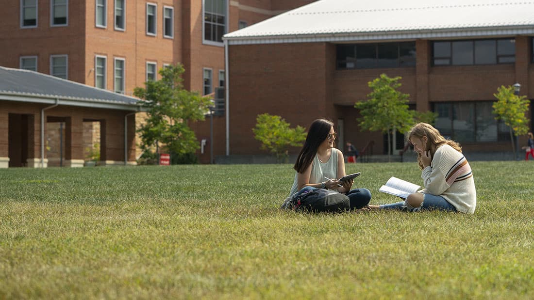 Students on the lawn