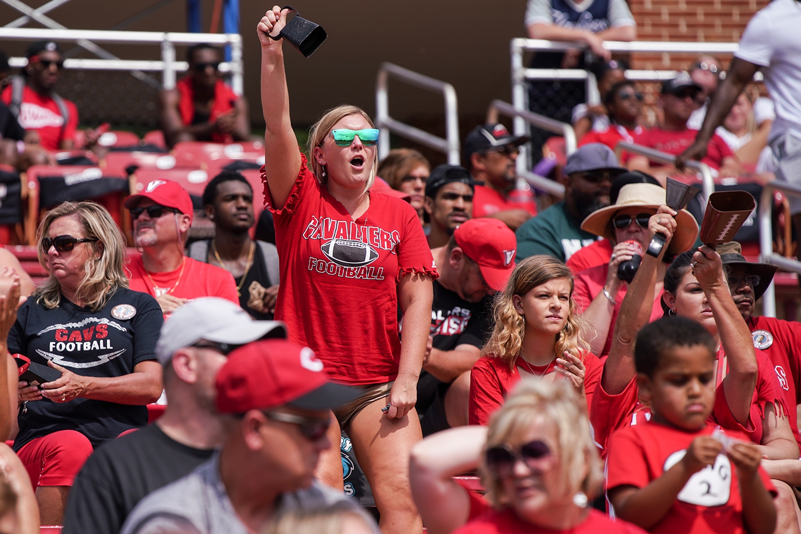 Cheering fans