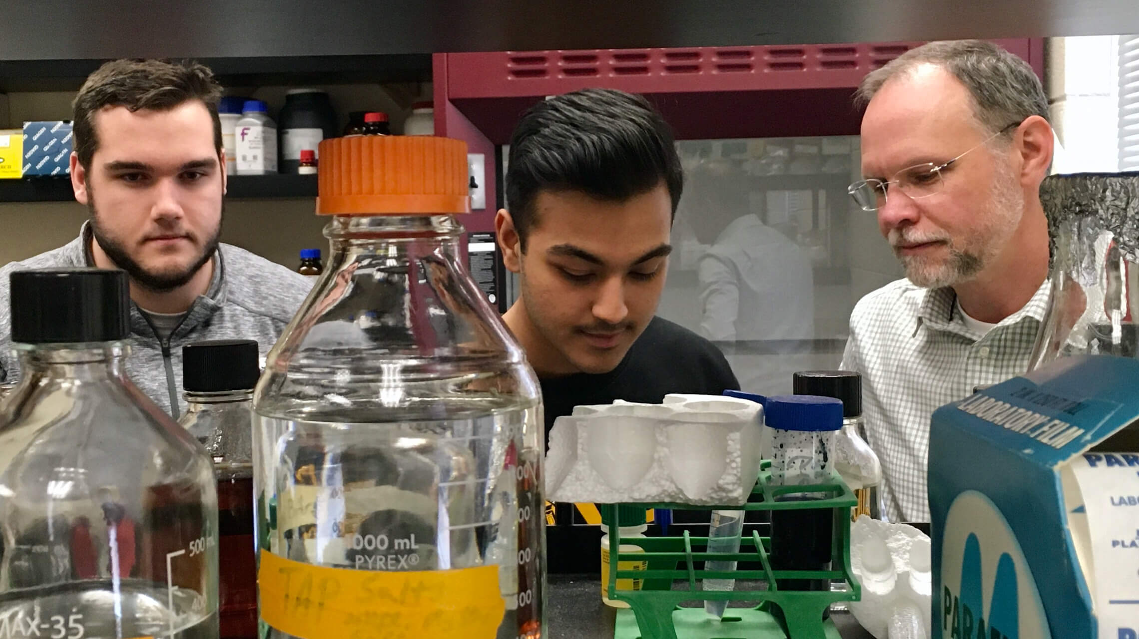 Professor Cahoon working in a lab with students