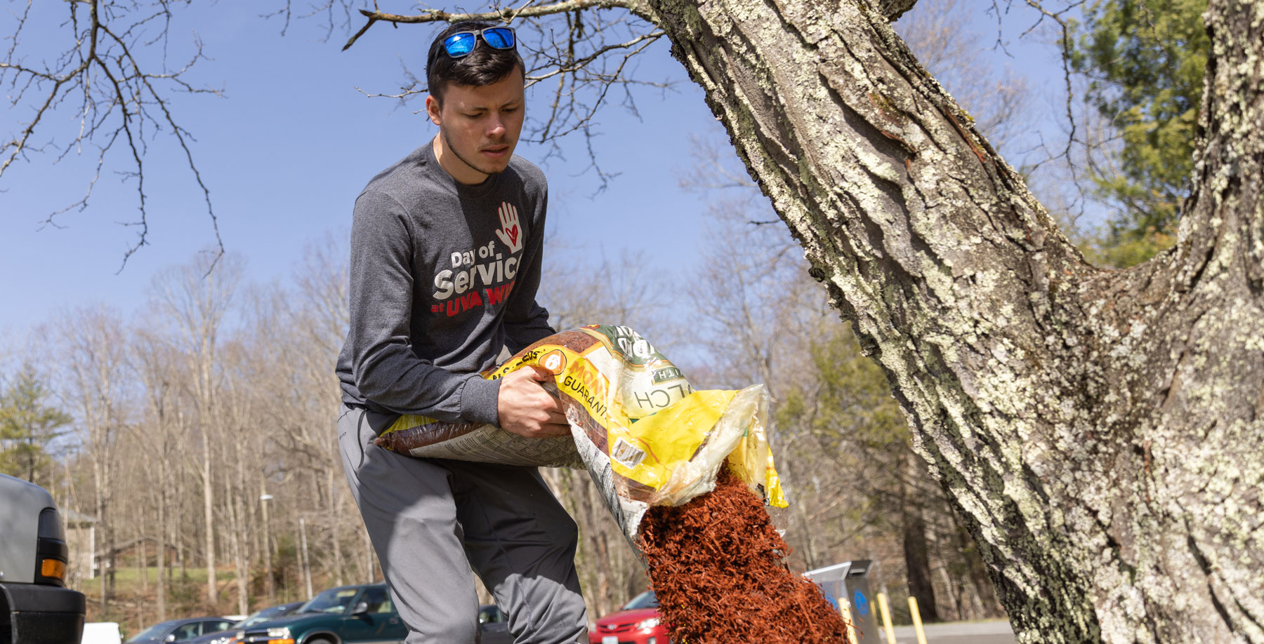 Student emptying bag of mulch
