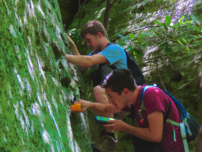 Students collecting research in the field
