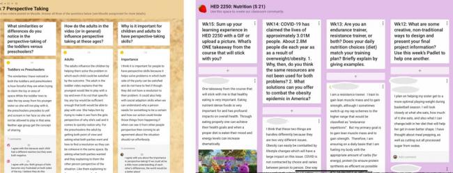 padlet boards
