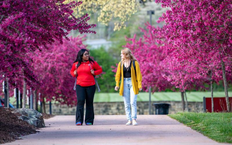 Students walking on campus