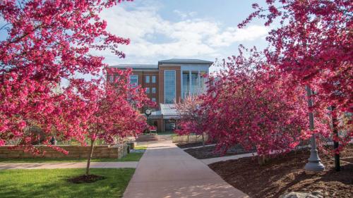 UVA Wise library