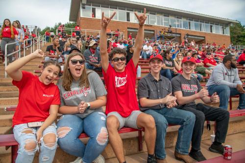 Fans in the bleachers at a UVA football game