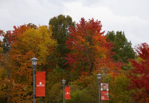 Fall colors over UVA Wise banners