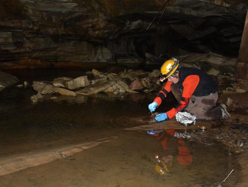 Person taking water samples