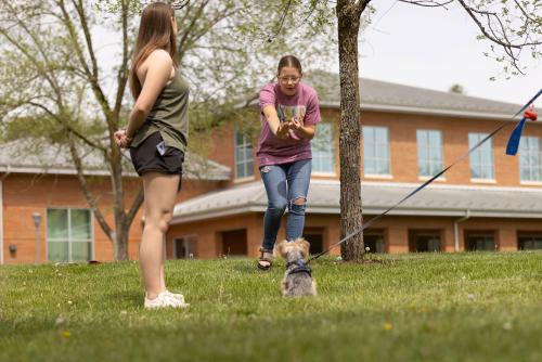 Dog on leash with student in front