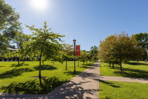 Sidewalk and light poles on campus