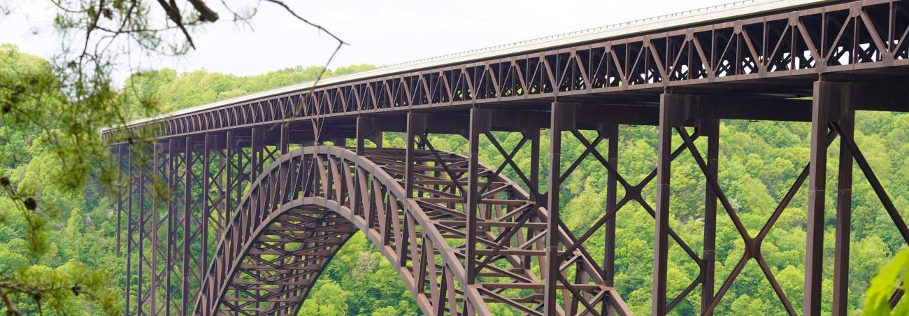 Bridge