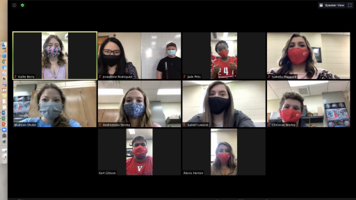 NSF students on Zoom call