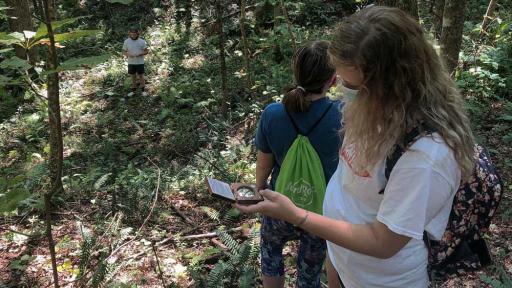 Students conducting research outside