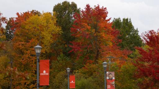 Fall colors over UVA Wise banners