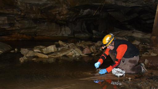 Person taking water samples