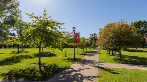 Sidewalk and light poles on campus